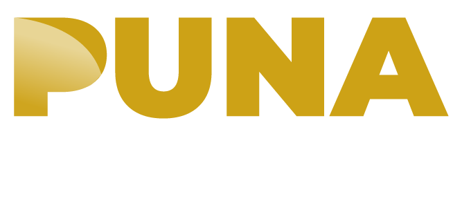 Puna Logo
